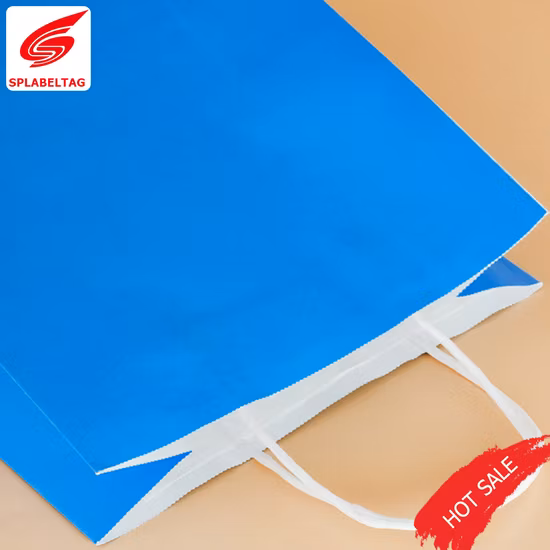 ハンドル付きの低価格の衣類ジュエリー化粧品ギフトショッピング紙袋